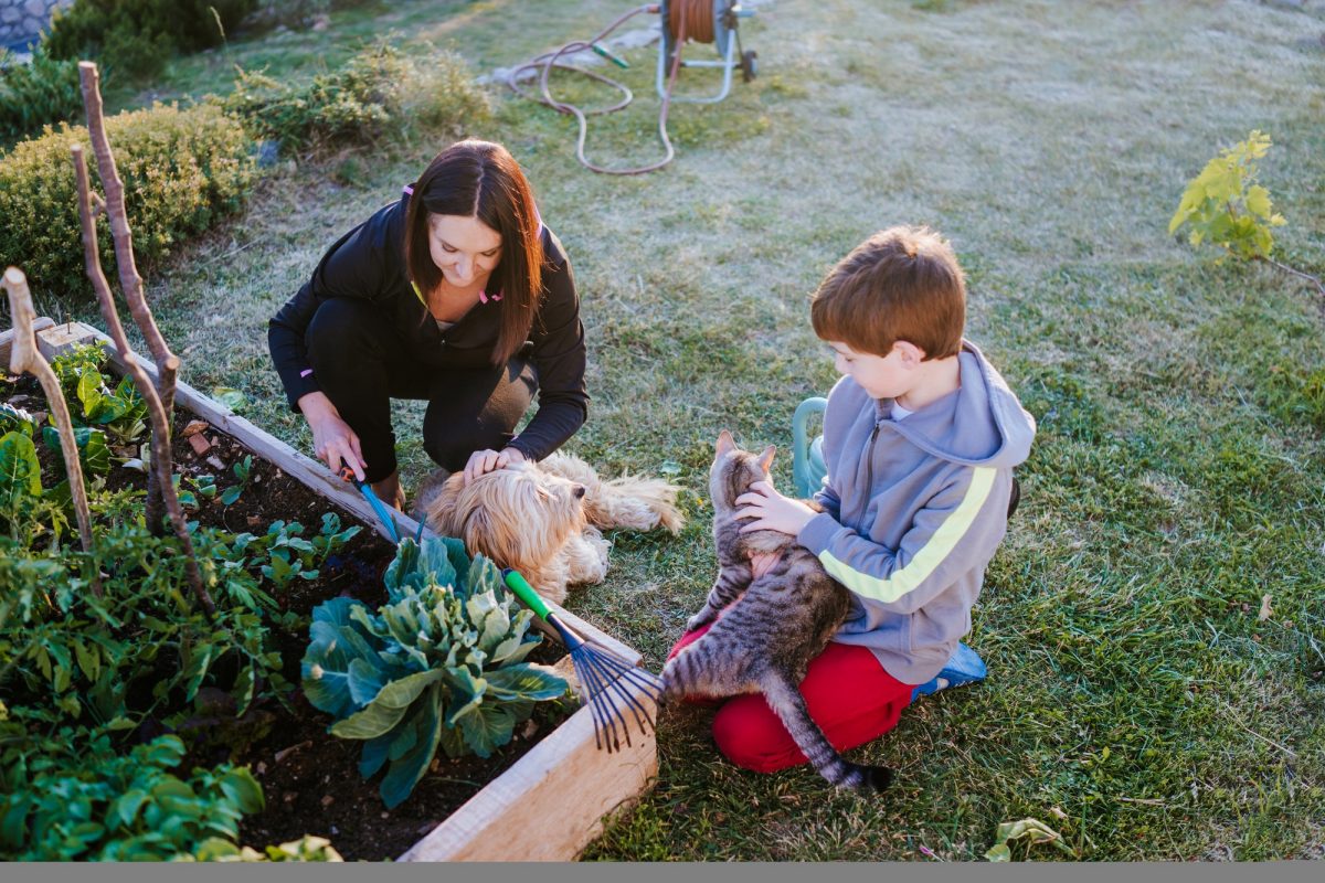 In the garden